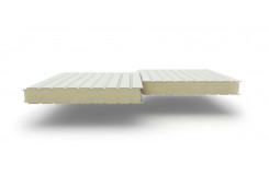 Сэндвич-панели стеновые с наполнителем из пенополиизоцианурата толщиной 220 мм, Ширина- 1000 мм, Полиэстер RAL9002